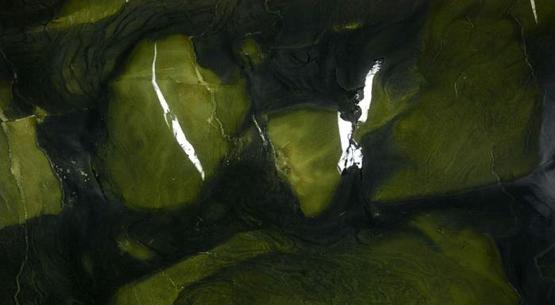 Avocatus — Naturamia — Granits & quartzites