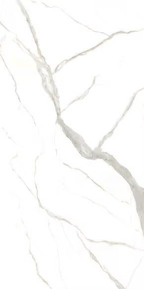 Calacatta michelangelo — Laminam